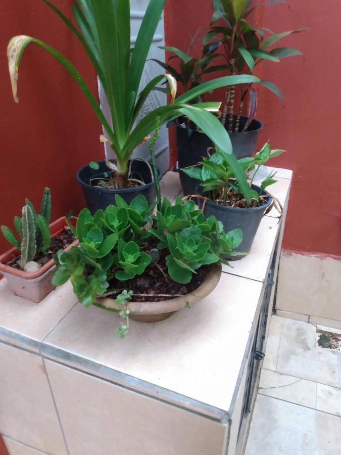Hospedaria Namastê Peruibe Bagian luar foto